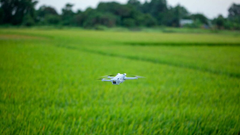 drone-in-green-field