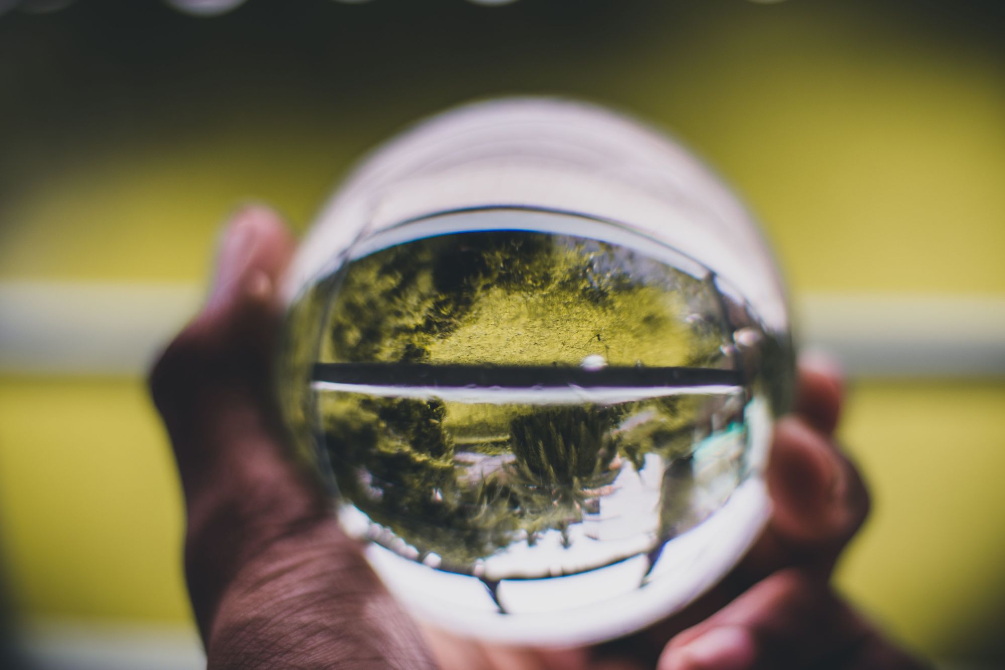 A Valuable Forward Look Into £53m Farming Innovation Funding