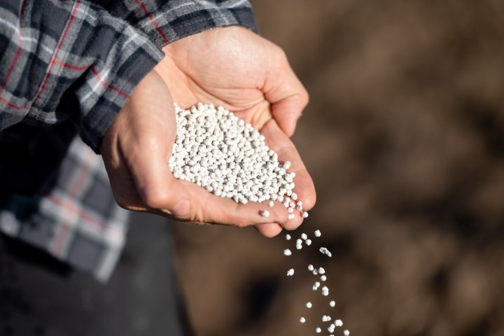 Granules in hands 5