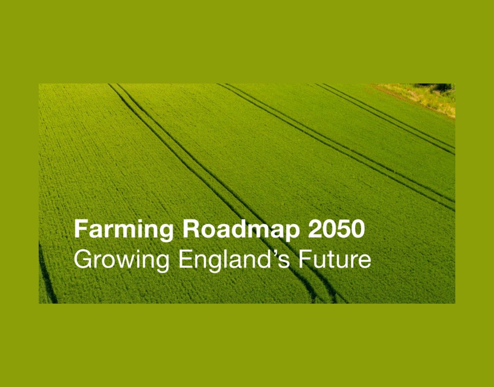 The Farming Roadmap 2025: A new government but the same farming blueprint The Farming Roadmap 2025: A new government but the same farming blueprint