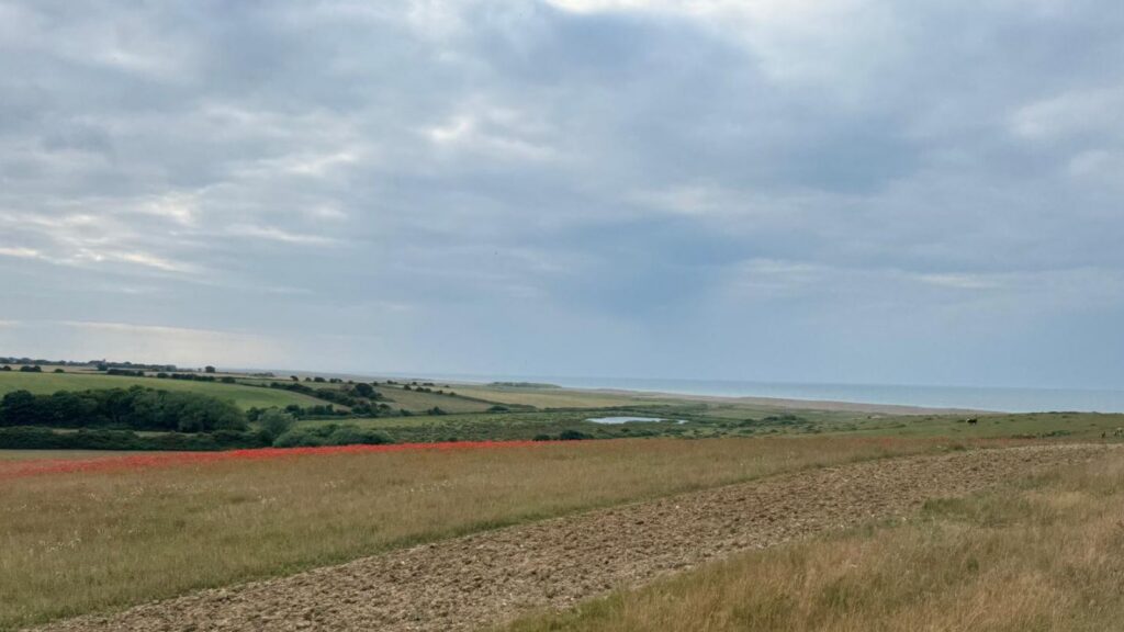 coastal-farm-land