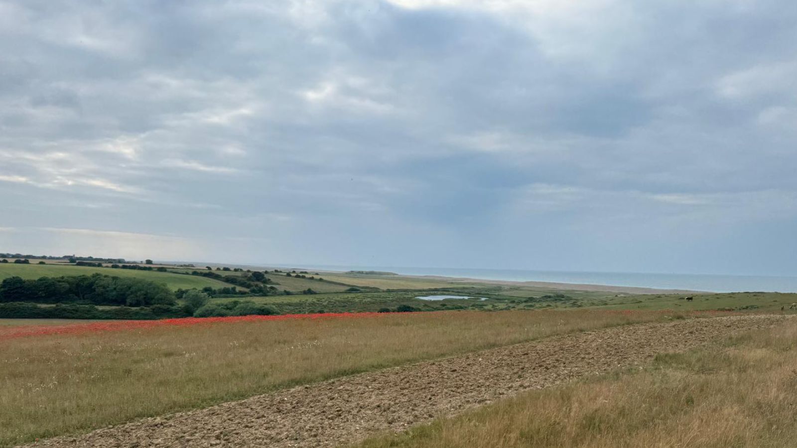 Fields of the Future: Episode 5 – Can Regenerative Agriculture Stand Up to the Evidence?
