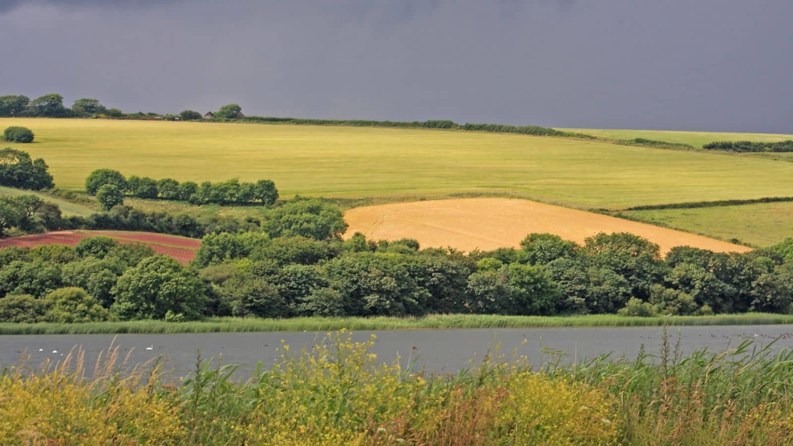 Food Security, National Security & the Future of Farming