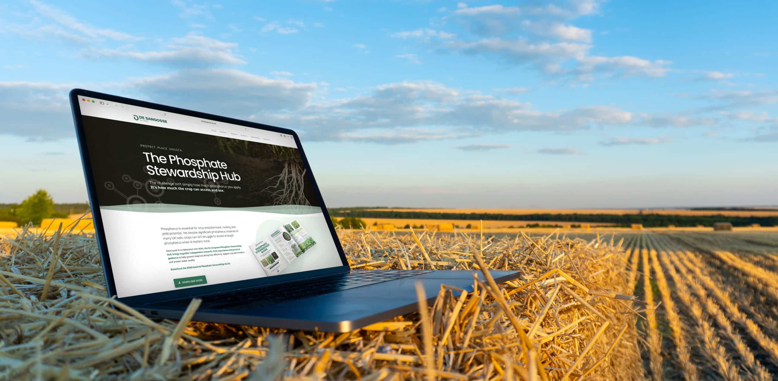 New Phosphorus Stewardship Hub helps growers turn phosphorus limitations into action
