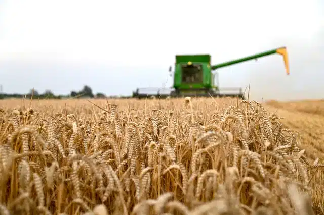 bamford-harvest-01-1400x931