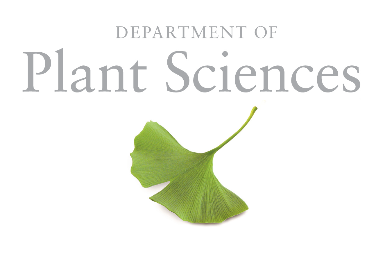 New Grant For Global Centre For Plant Resilience New Grant For Global Centre For Plant Resilience