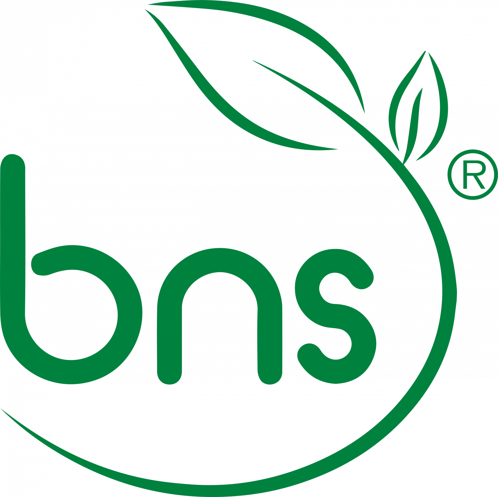BIO NATURAL SOLUTIONS SAC