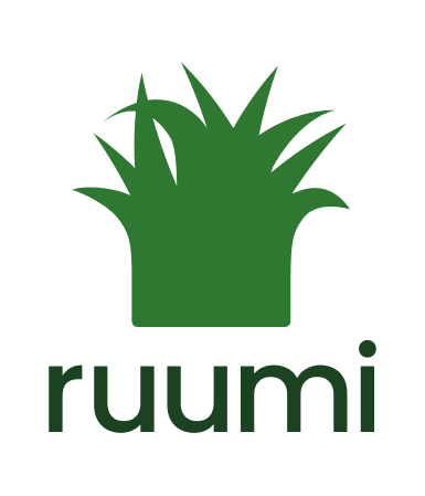 ruumi