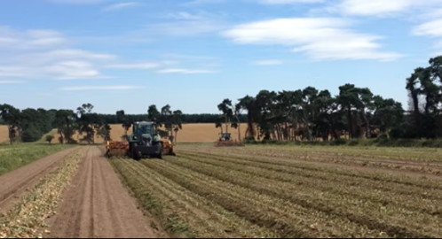 Tractor ploughing a field