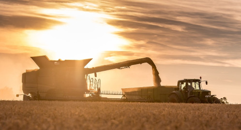 Combine harvester in field